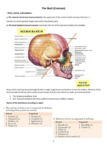 The Skull (Cranium) thumbnail