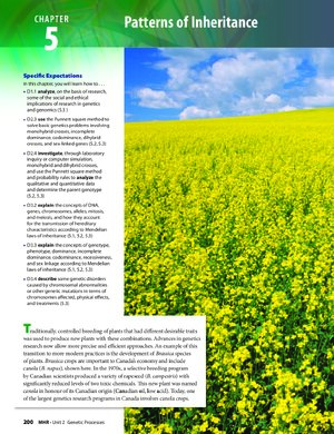 Thumbnail for Patterns of Inheritance