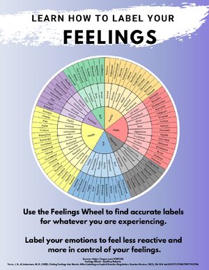 Thumbnail for Feelings Wheel - Learn How To Label Your Feelings