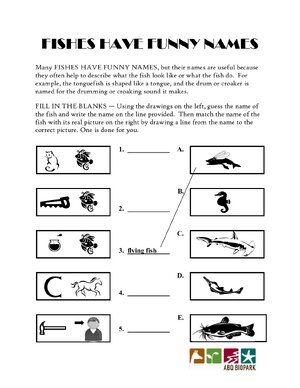 Thumbnail for Fishes Have Funny Names