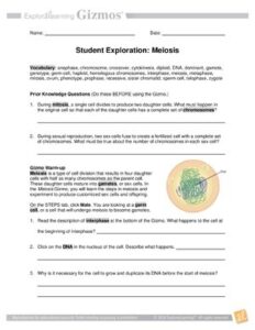 Meiosis Gizmo Answer Key thumbnail