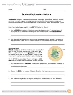 Thumbnail for Meiosis Gizmo Answer Key