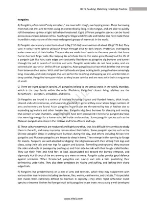 Thumbnail for Pangolin Passage Teas Test