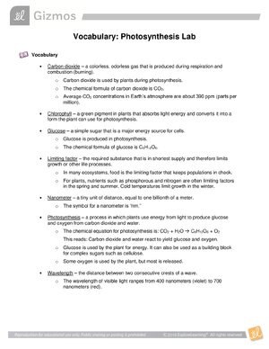 Thumbnail for Vocabulary: Photosynthesis Lab Gizmo