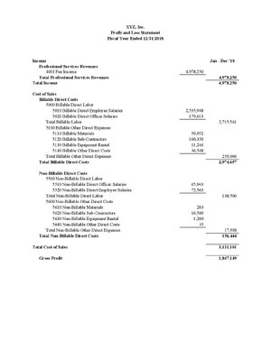 Thumbnail for Profit And Loss Statement Example