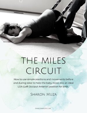 Thumbnail for The Miles Circuit