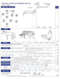 MoCA-8.3-English-Test-2018-04 thumbnail