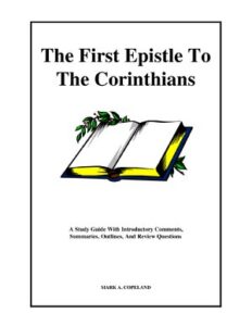 1st Corinthians Study Guide thumbnail