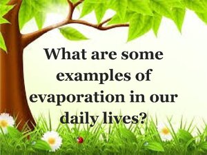 Examples Of Evaporation In Our Daily Lives thumbnail
