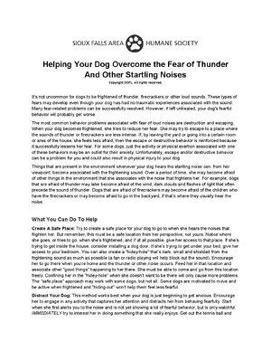 Thumbnail for Helping Your Dog Overcome The Fear Of Thunder Noises