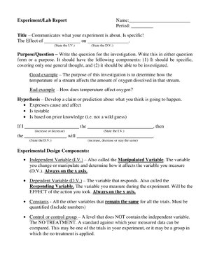 Thumbnail for Lab Report Guidelines