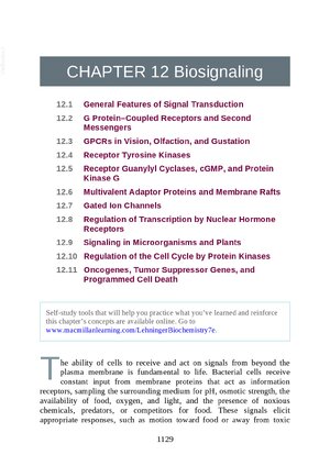Thumbnail for Lehninger Principles Of Biochemistry 7th Edition