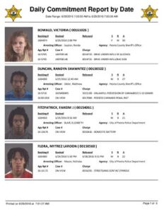 Peoria County Jail Booking Sheet thumbnail