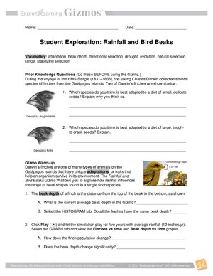 Thumbnail for Rainfall And Bird Beaks Gizmo Answers