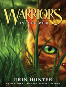 Into The Wild thumbnail