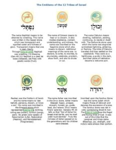 The Emblems Of The 12 Tribes Of Israel thumbnail