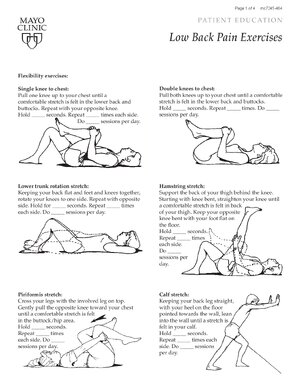 Thumbnail for Low Back Pain Exercises