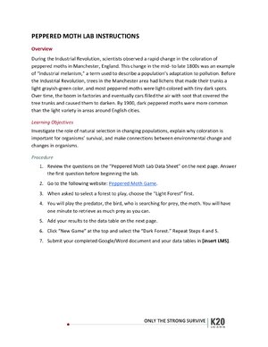 Thumbnail for Peppered Moth Game