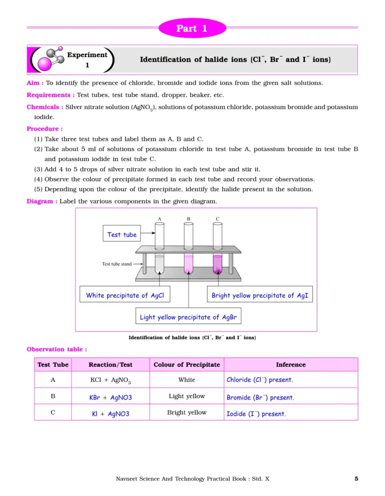 10th Science Practical Book