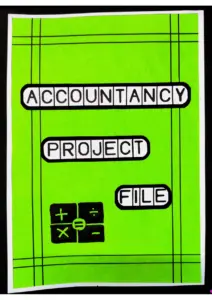 Accounts Project File Class 12th (HDFC LTD.) thumbnail
