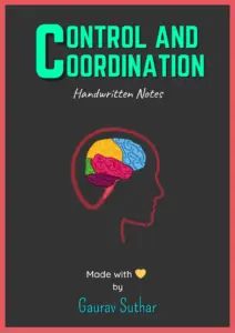 Control And Coordination Notes thumbnail