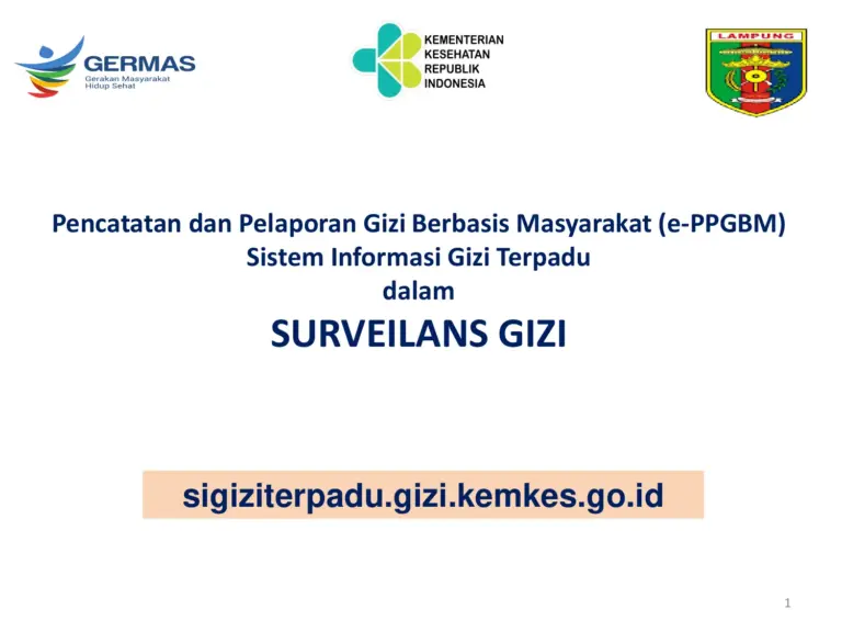 Sosialisasi Sigizi Terpadu EPPGBM