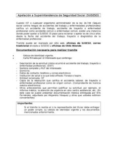 ApelacióN SUSESO GuíA Completa TráMite thumbnail