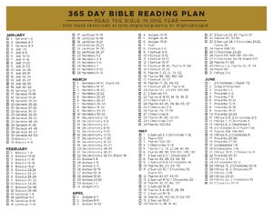 365 Day Bible Reading Plan ​ thumbnail