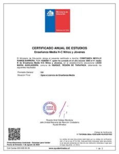 Certificado De Estudios EnseñAnza Media Completa thumbnail
