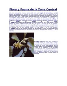 Flora Y Fauna De Chile Central thumbnail