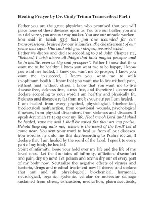 Thumbnail for How To Keep House While Drowning PDF