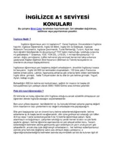 Ingilizce A1 Seviyesi Konu AnlatıMı PDF thumbnail