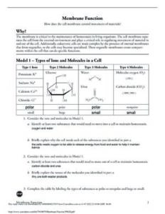 Membrane Function Answers thumbnail