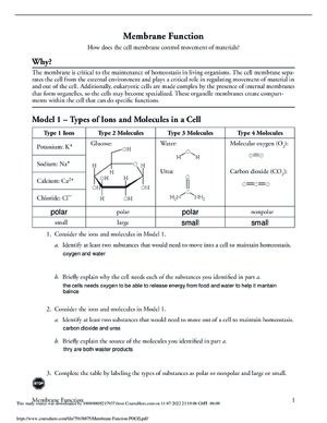 Thumbnail for Membrane Function Answers