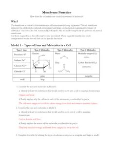 Membrane Function Pogil Key thumbnail