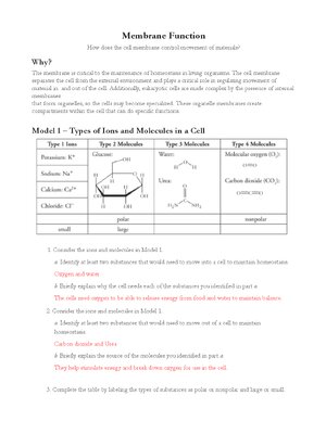 Thumbnail for Membrane Function Pogil Key