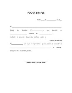Modelo Poder Simple PDF thumbnail