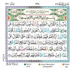Surah Yaseen PDF Meri Web thumbnail