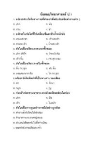 ข้อสอบวิทยาศาสตร์ ป1 thumbnail