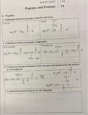 Thumbnail for Peptides and Proteins Lab Report