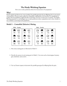 The Hardy Weinberg Equation Pogil