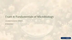 Exam 4 Fundamentals Of Microbiology