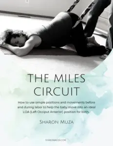 The Miles Circuit