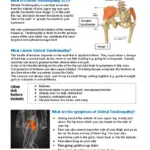 Gluteal Tendinopathy
