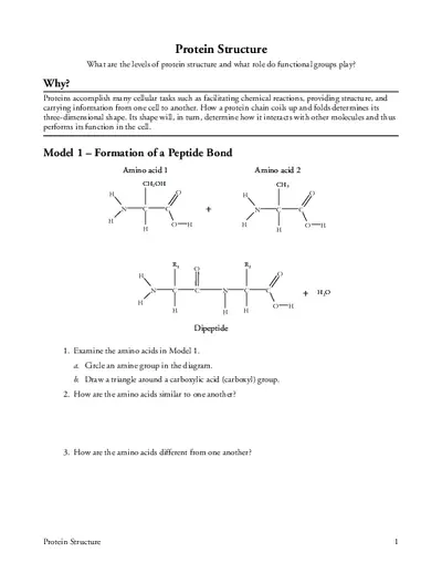 Protein Structure