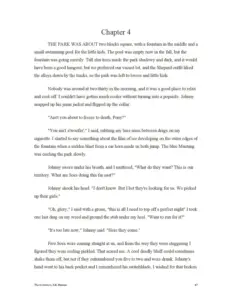 The Outsiders Chapter no 4