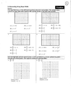 7.4 Reasoning Using Slope Fields in Calculus Practice