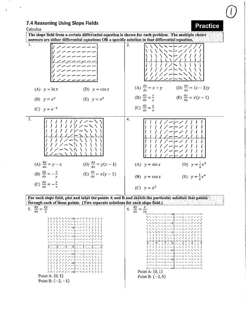 7.4 Reasoning Using Slope Fields in Calculus Practice