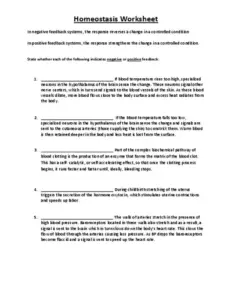 Homeostasis Worksheet