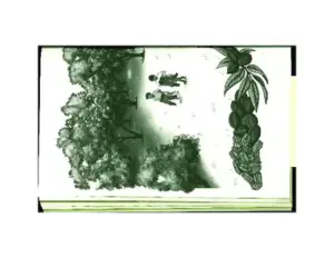 Aidan+Boutot+ +Sweetgrass+ +The+Council+Of+Pecans